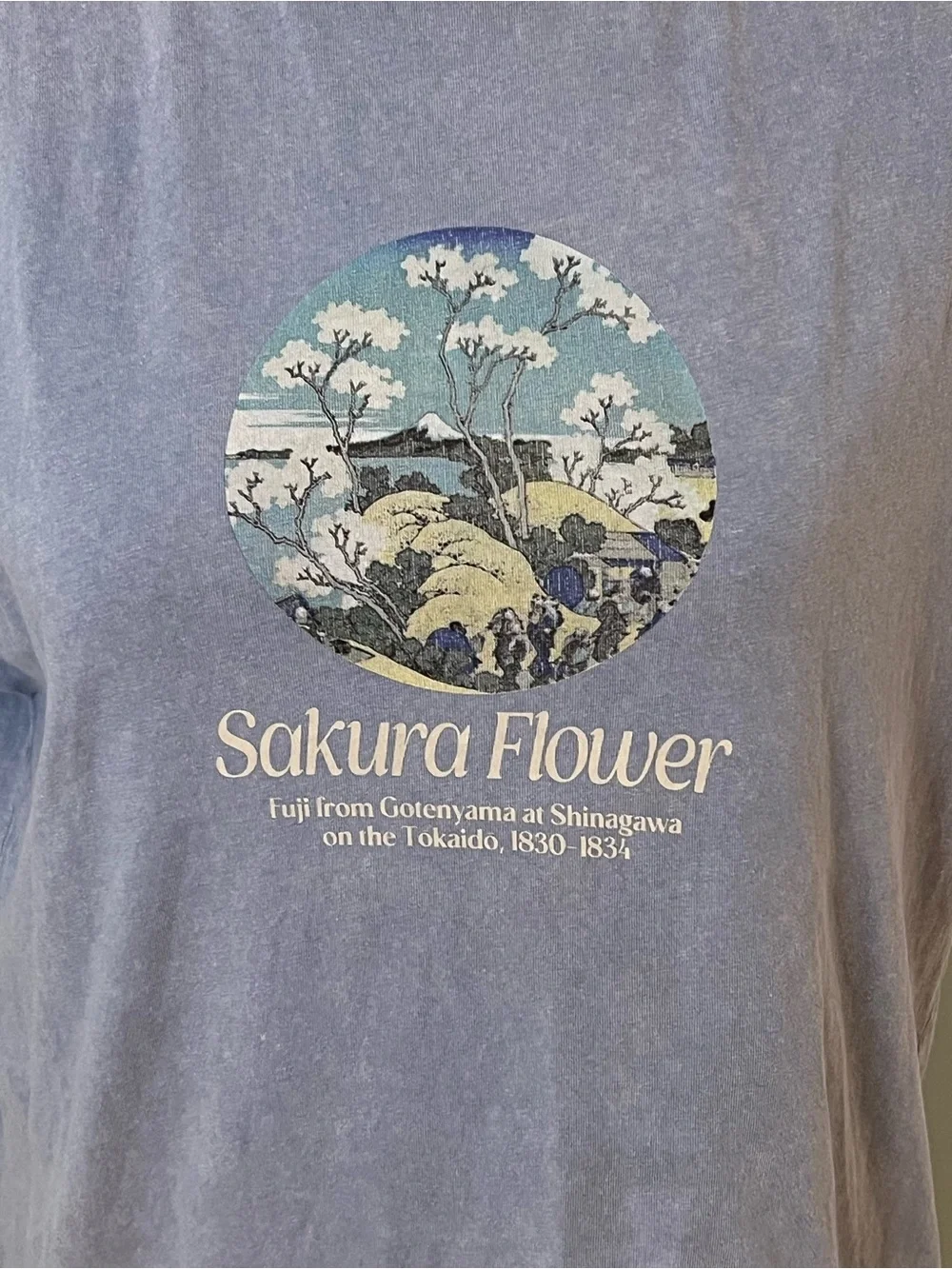 Pull&Bear graphic t-shirt | washed blue featuring “Sakura Flower" | Size XS - Picture 5 of 9